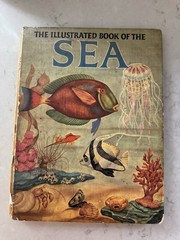 The illustrated book of the Sea by Hausman & Sutton 1957 1st Ed HC Oversized VG