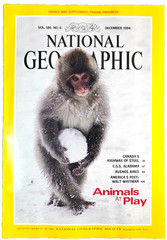 ANIMALS AT PLAY DECEMBER 1994 NATIONAL GEOGRAPHIC MAGAZINE FREE SHIPPING
