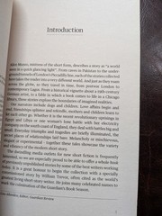 The Guardian Review Book Of Short Stories (Lisa Allardice, 2011)+ FREEBIE book!