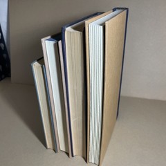 Set of 4 Hardcover Books BLUE – Mixed Vintage & Modern Shelf Decor