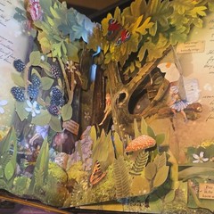Cicely Mary Barker How to Find Flower Fairies Hardcover Pop-Up Illustrated