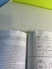 Hand Book Of Research-Based Practices For Educating Students With Intellectual D