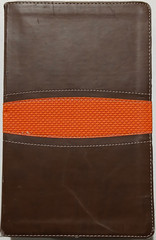 NIV Boys Bible 2011 Italian Duo-Tone Leatherbound