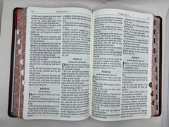 KJV Kids Bible, LARGE PRINT 40 Pages Full Color Study Helps, Presentation INDEX