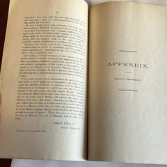 chastisement of a bearer of false witness by Albert Pike, 1889 1st stapled wrap