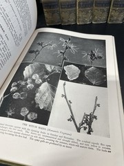 Lot of 8 Volumes of The New Nature Library 1920s 1922/1923 RARE