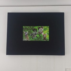 Pirate Tales and More Limited Edition Signed #136 of 500 w/ Art Print Signed Box
