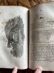 Daniel, Rev. William B. Rural Sports Vol 1. 1812 Edition: Mammals, Stags, Hares