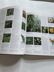 The Herb Society of America Encyclopedia of Herbs & Their Uses HC DJ Deni Bown