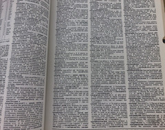 Funk & Wagnalls New Comprehensive International Dictionary Volume 1 & 2 Deluxe
