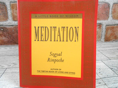 Meditation A Little Book of Wisdom Sogyal Rinpoche 1994