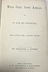 Wild Oats Sown Abroad On Off Soundings Theodore Whitmer 1872 Antique Book