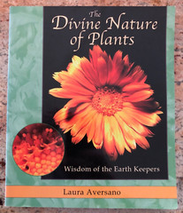 THE DIVINE NATURE OF PLANTS: WISDOM OF THE EARTH KEEPERS BY LAURA AVERSANO 2002