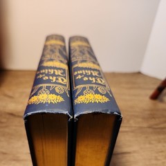 The Rhine, From Its Source to the Sea, 1898, 2 Vol. Set , Germany, Rare, Gilt