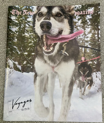 NEW New York Times Magazine – Voyages March 29 2026 NYT
