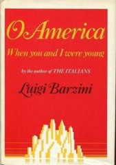 O America: When You and I Were Young – Hardcover By Luigi Barzini – GOOD