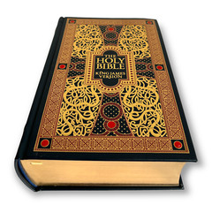 THE HOLY BIBLE King James Version KJV Deluxe Illustrated Gustave Dore NEW SEALED