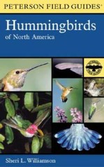A Field Guide to Hummingbirds of North America (Peterson Field Guides) – GOOD