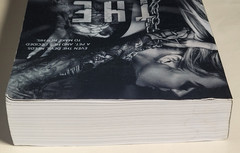 The Sinner – A Dark College Romance Shantel Tessier – Softcover – Preowned