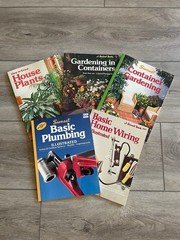Vintage Sunset Lot – House Plants, Container Gardening, Plumbing and Electrical!