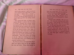 Vintage The Call of the Wild HC by Jack London 1906 Print Grosset & Dunlap Book