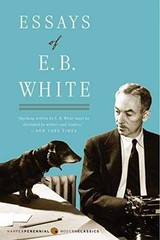Essays of E. B. White (Perennial – Paperback, by White E. B. – Very Good x