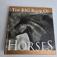 Big Book of Horses by J.C Suares (Hardcover, 2006) Animals Horses Illustrated