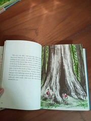 See Up the Mountain, Betty Morrow (w/Millicent Selsam), Hardcover HTF Vintage