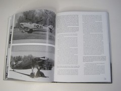 German Eagles in Spanish Skies: The Messerschmitt Bf 109 1936-1939 by D Johnston