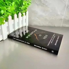 The Mountain Is You: Transforming Self-Sabotage Into Self-Mastery Paperback