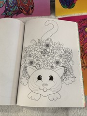 New kaleidoscope Coloring Books For Adults/Kids Lot of 6 Wolves/Cats MSRP 9.99ea