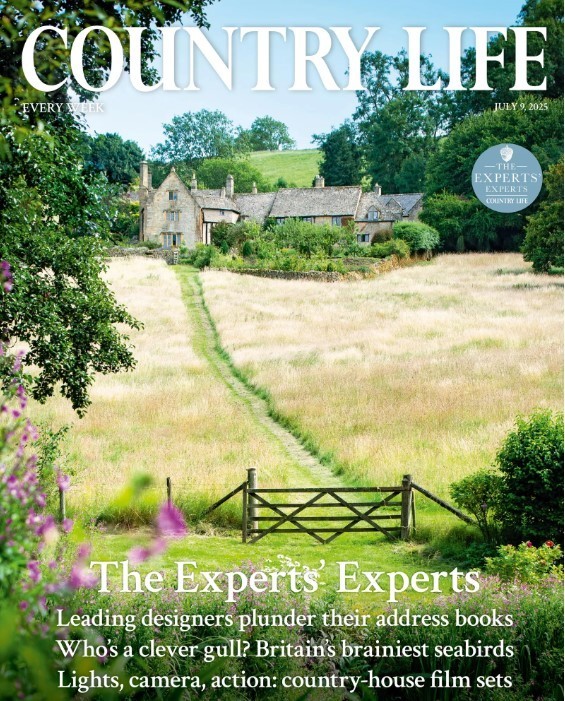 Country Life UK Magazine Issue 28 Jul 2025/ THE EXPERTS’ EXPERTS