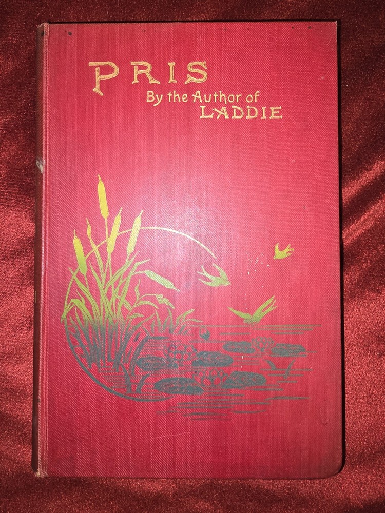 Victorian Book PRIS By Evelyn Whitaker Published By A D Innes 1899 illustrated