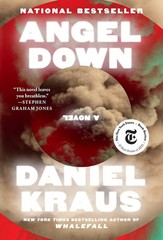 Angel Down : A Novel Hardcover by Daniel Kraus