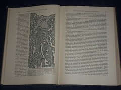 1921 GYNECOLOGICAL & OBSTETRICAL MONOGRAPHS APPLETON VOLUME LOT OF 14 – KD 2998