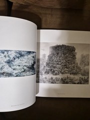 The Pen Manabu Ikeda Japanese Art Book 2017 Technical Pen Painting Japan