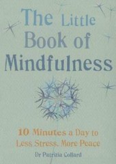 Little Book of Mindfulness: 10 minutes a day to less stress, more pe – VERY GOOD