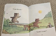 I See, You Saw By Nurit Karlin