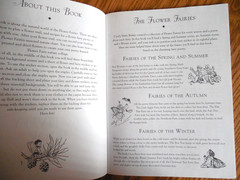 NEW 1977 Warne Cicely Mary Barker “The Flower Fairies” Sticker Activity Book