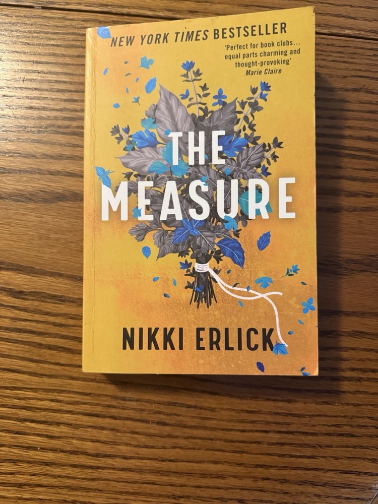 The Measure by Nikki Erlick: Used
