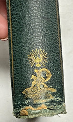 Wild Oats Sown Abroad On Off Soundings Theodore Whitmer 1872 Antique Book