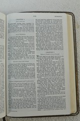 The Open Bible Expanded Edition NASB Brown Genuine Leather RL 1985 Nelson 976BR