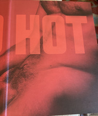 TOO HOT – MICHAEL STOKES – RARE BRAND NEW FIRST ED HARDCOVER – MALE NUDE PHOTOS