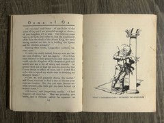 Ozma of Oz by L. Frank Baum – Reilly & Lee 1907 Antique Hardcover 270 Pages