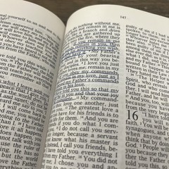 Vtg 1976 Good News Bible Today’s English Version Gold Hardcover 480 Pages