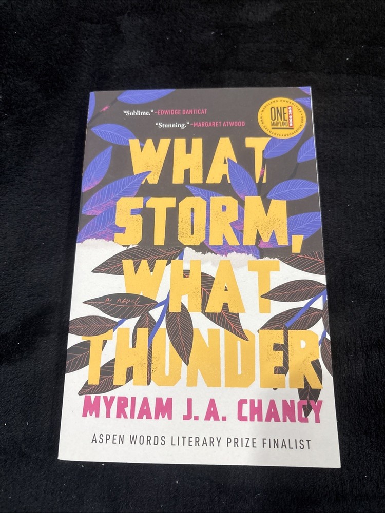 What Storm, What Thunder by Myriam J. A. Chancy (2022, Trade Paperback)