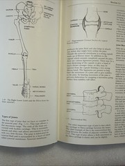 Dance Technique and Injury Prevention by Shirley Hancock and Justin Howse (2000,