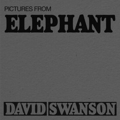 Pictures From Elephant by David Swanson ✭ The White Stripes ✭ RARE ✭ Third Man