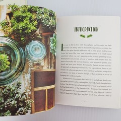 How to Read A Tree by Tristan Gooley & How To HousePlant by Heather Rodino Decor