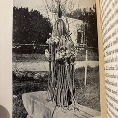 Cactus Culture Vintage 1932HC Book By Ellen D. Schulz